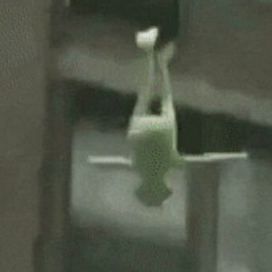 Meet your Posher, Lourdess